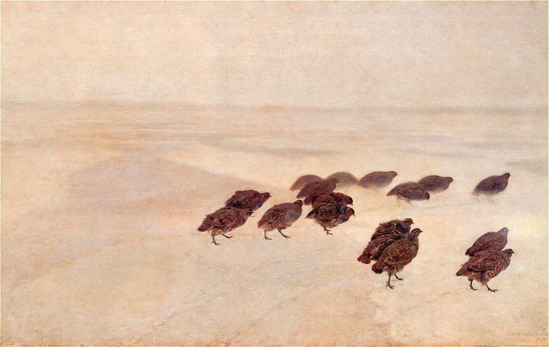 Partridges