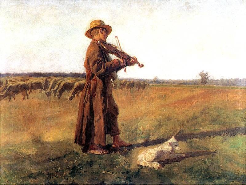 Shepherd Dog