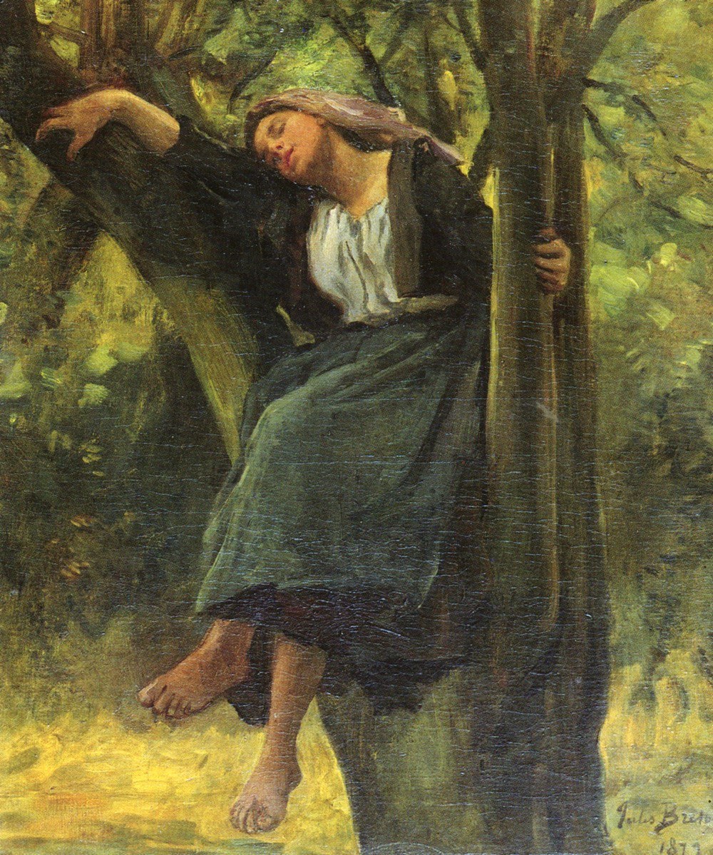 Asleep in the Woods