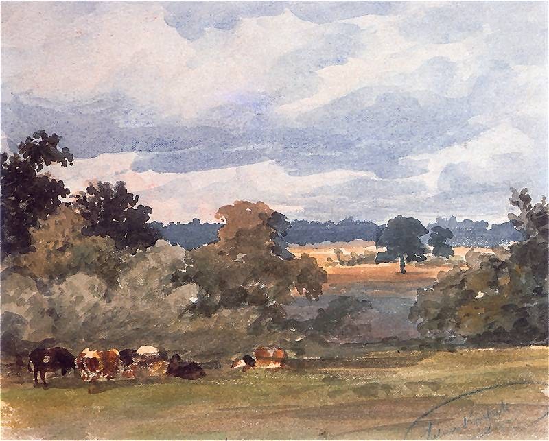 Landscape