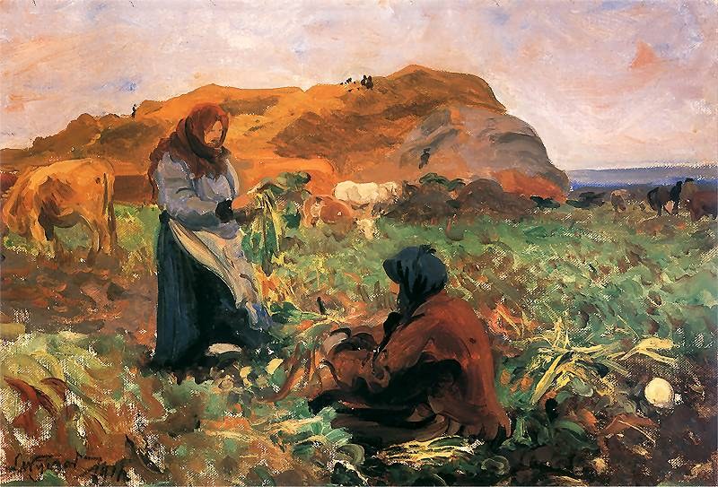 Digging Beets