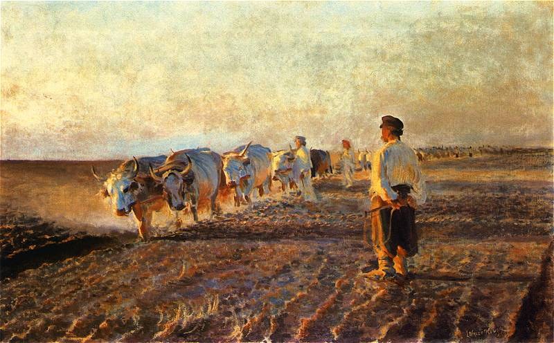 Ploughing in Ukraine