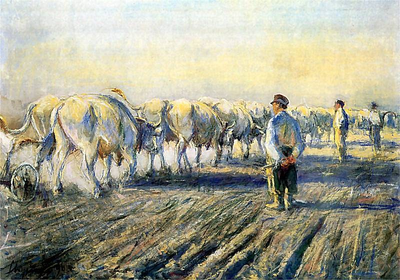 Ploughing in Ukraine