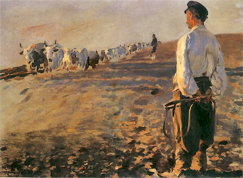 Ploughing in Ukraine