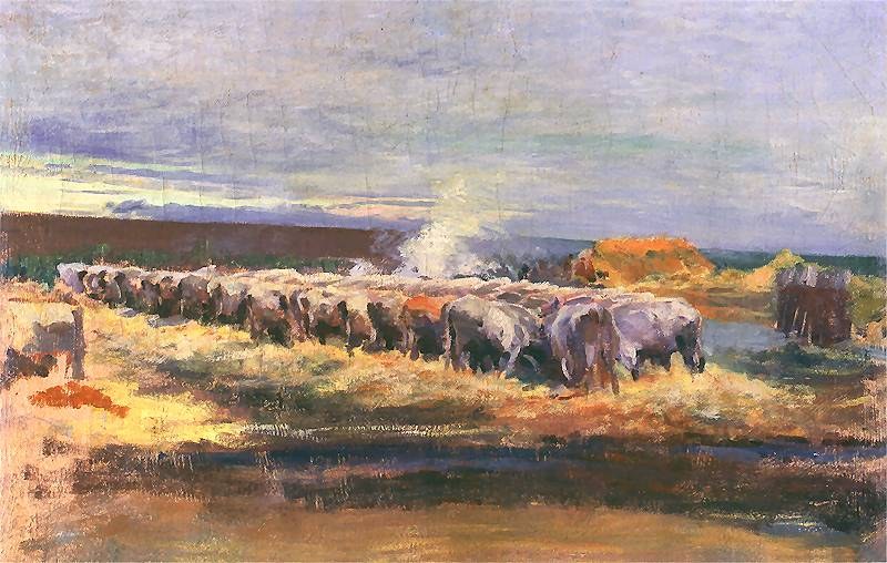 Oxen at a Trough