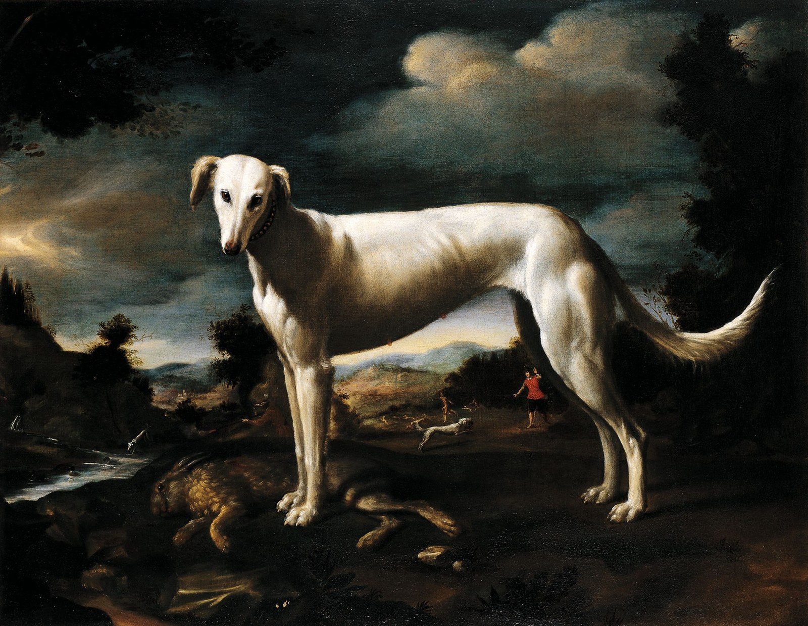 Portrait of a Greyhound