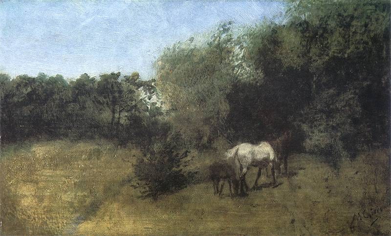 Коне край гората