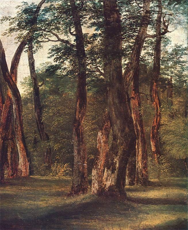 Grove