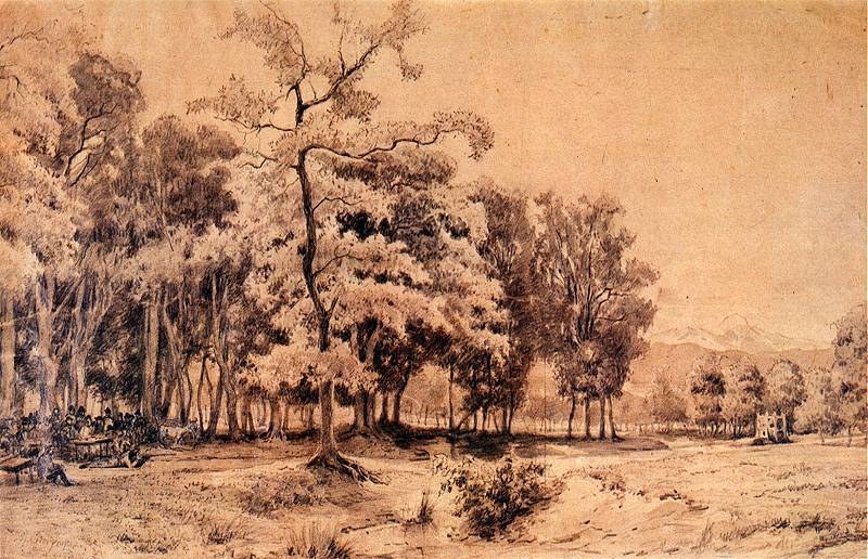 Shooting Range in a Grove