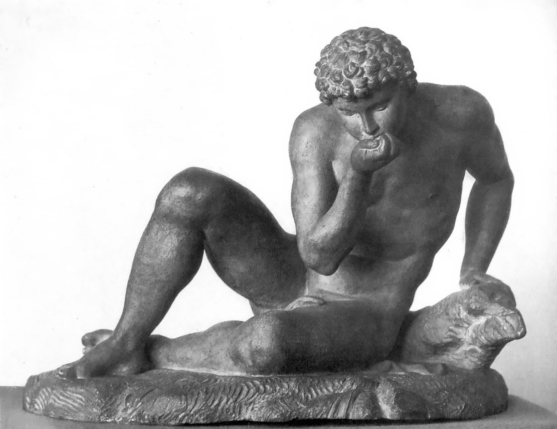 Narcissus