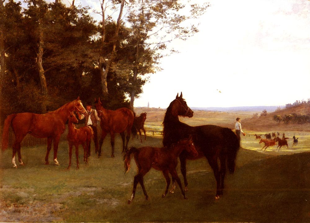 Horses in the Countryside