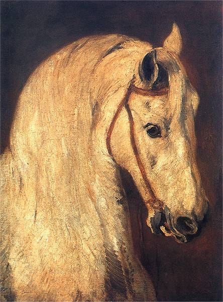 Head of a Horse