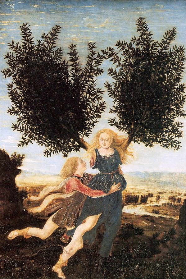 Senza titolo n. 7