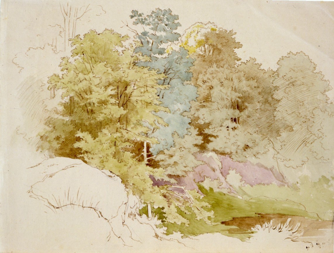 Woodland