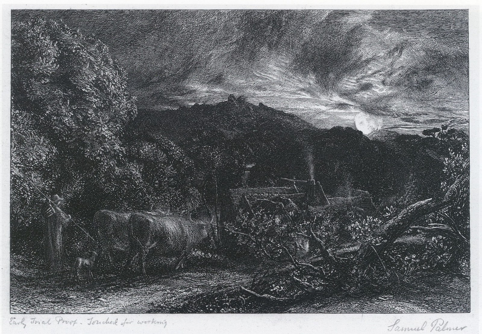 The Weary Ploughman