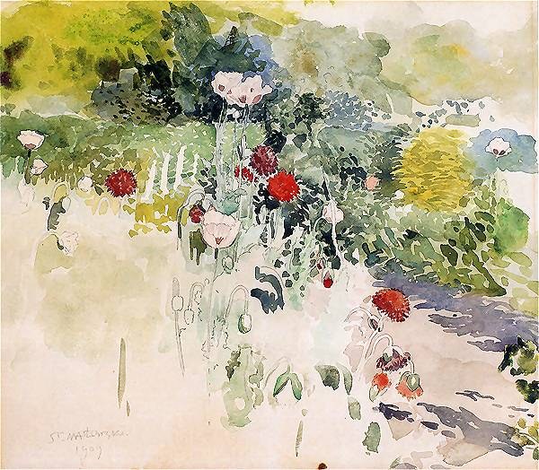 Poppies