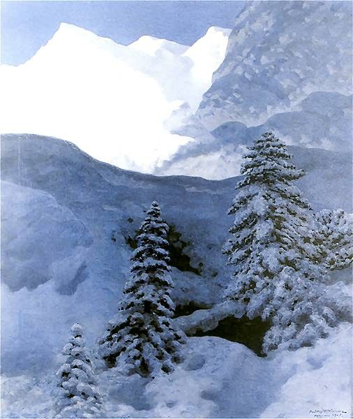 Winter's Nest