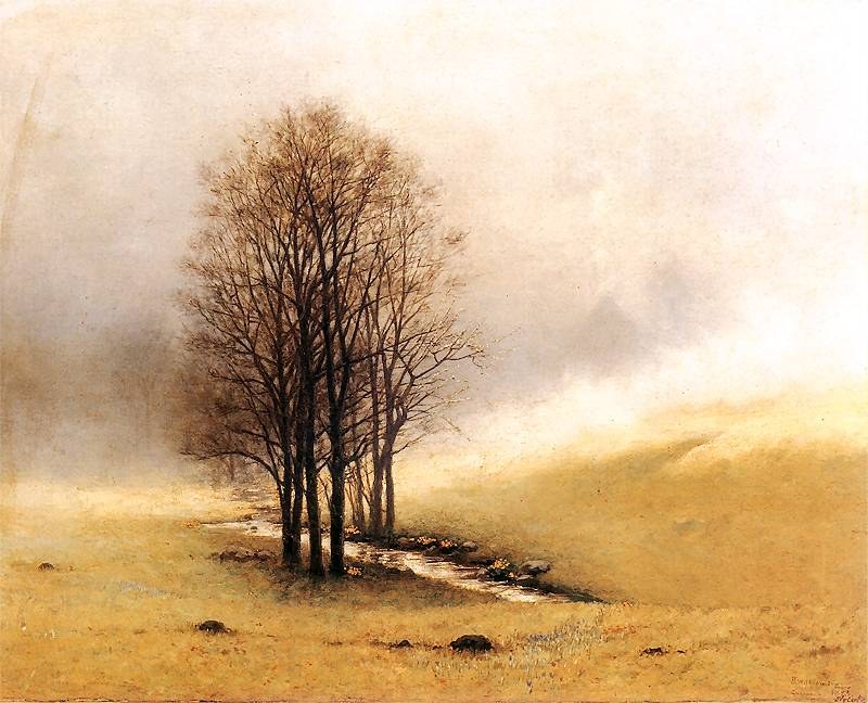 Spring Mist