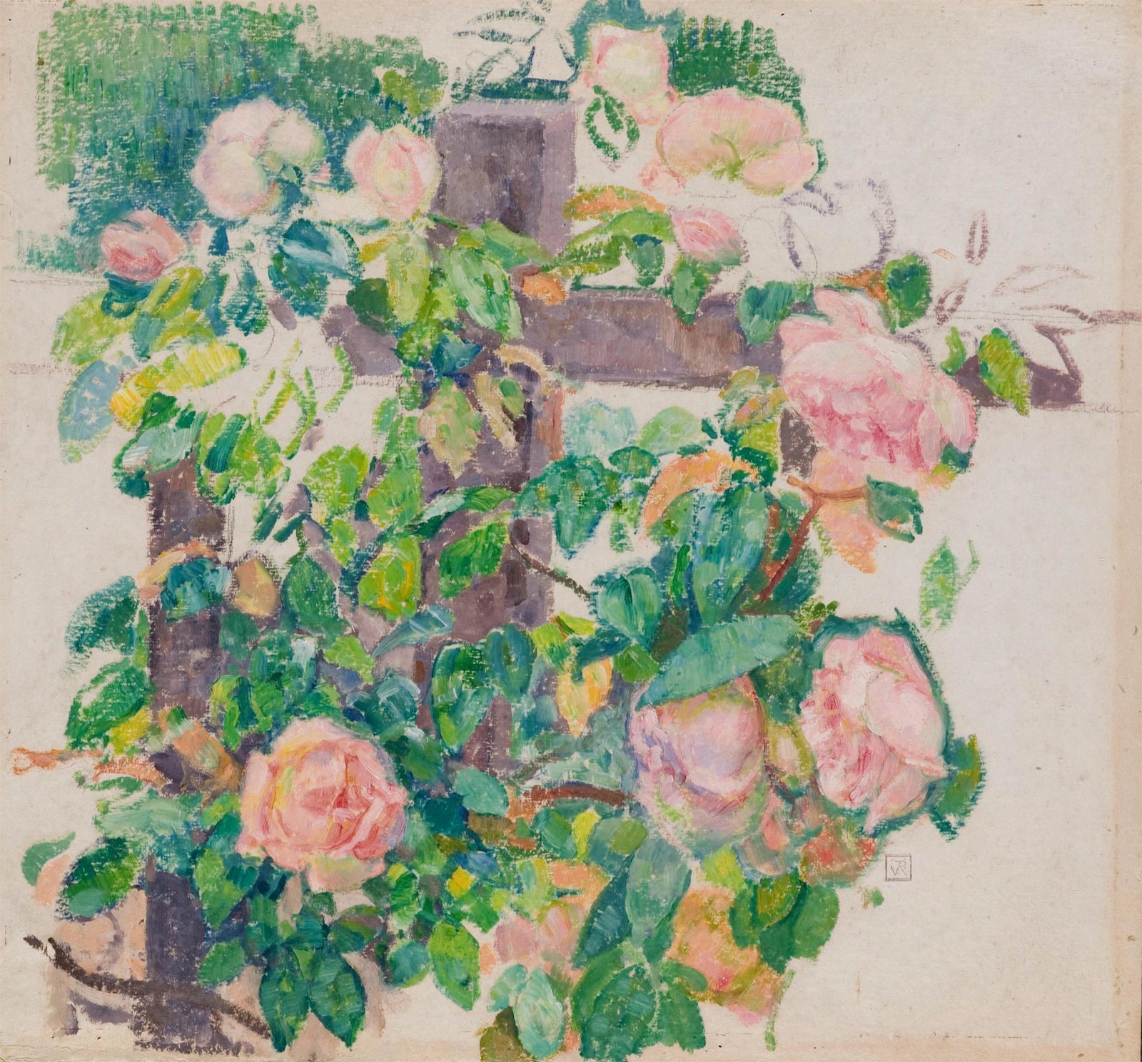 Climbing Roses