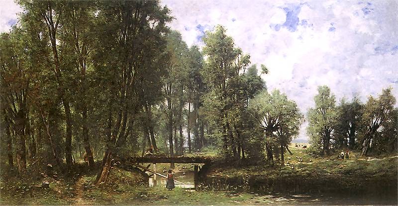 Forest Landscape