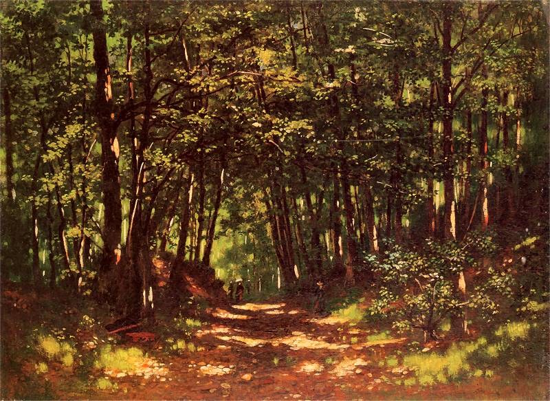 Forest Interior