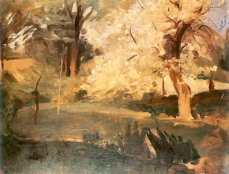 Blossoming Apple Tree