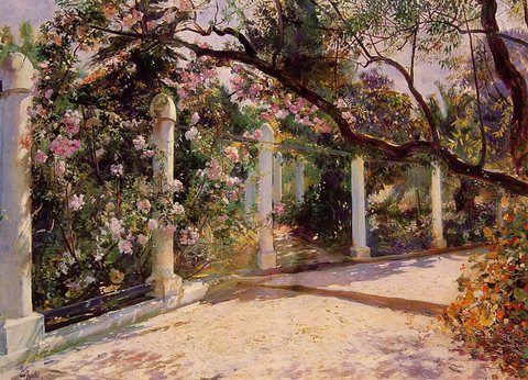 Almond Trees Algiers