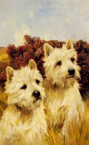 Arthur Jacque And Jean Champion Westhighland White Terriers