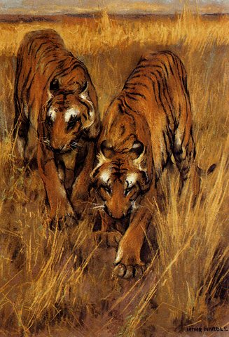 Arthur Tigers