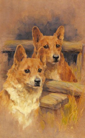 Arthur Two Corgies
