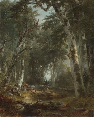 Asher B In The Woods