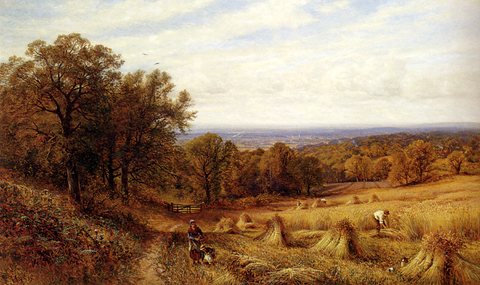 Augustus Harvest Time