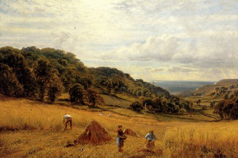 Augustus Harvesting At Luccombe Isle Of Wight
