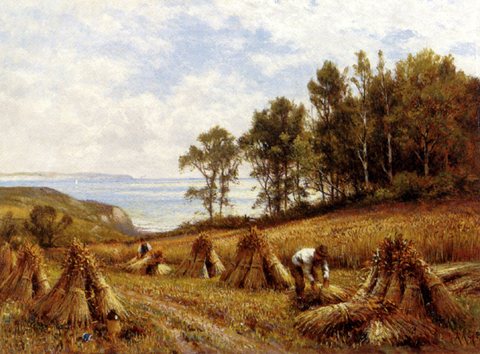 Augustus In The Cornfields Near Luccombe Isle Of Wight
