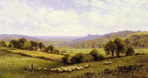 Augustus Near Amberley Sussex With Arundel Castle In The Distance