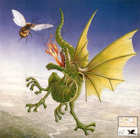 b Graeme Base Emerald Dragon Immature