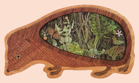 b Kit Williams Hedgehog