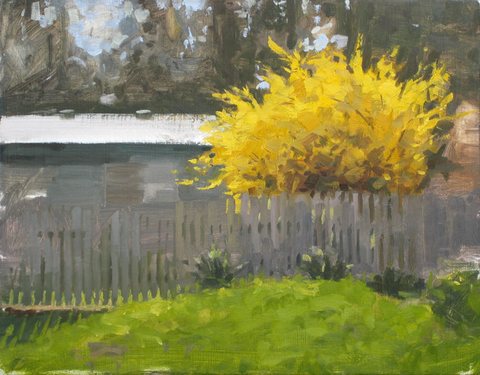 Back Yard Yellow Bush
