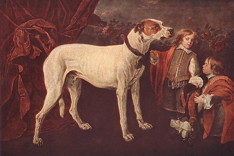 Big Dog Dwarf And Boy