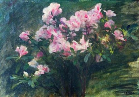 Carles Azalees Etude