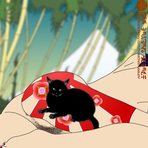cat