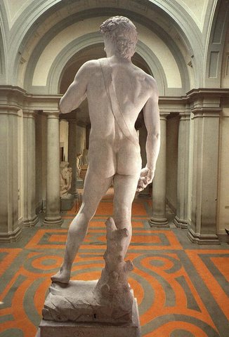 David (rear view)