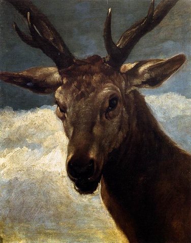 Diego Head Of A Stag