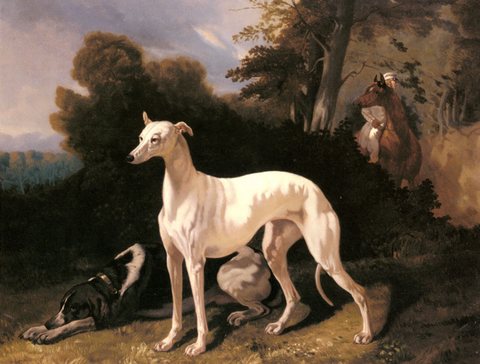 Dreux Alfred De A Greyhound In An Extensive Landscape