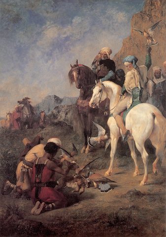 E Falcon Hunting in Algeria