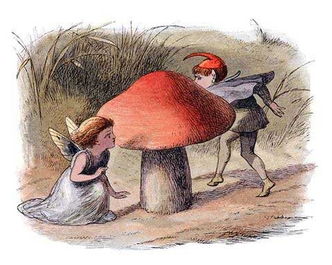 elf and fairy
