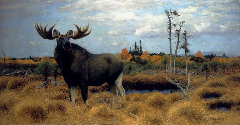 Elks In A Marsh Landscape
