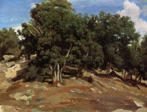 Fontainebleau Black Oaks of Bas Breau