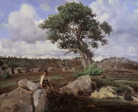 Fontainebleau -The Raging One