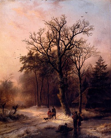 Forest In Winter